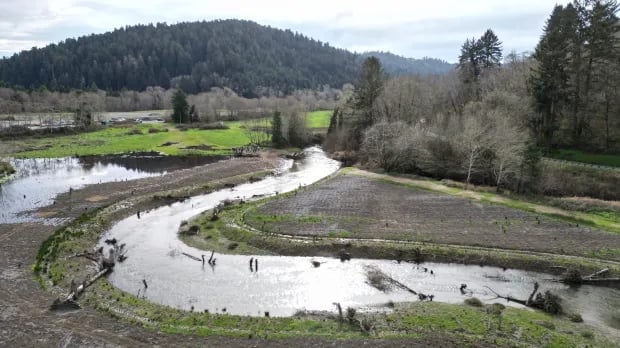 Winding river through flooded farmland valley with forested mountains and scattered figures standing in shallow water